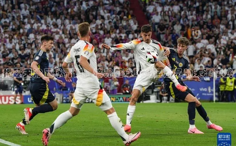 贝博官网下载普信公司揭秘天津足球青训：培养足球职业运动员的天津模式