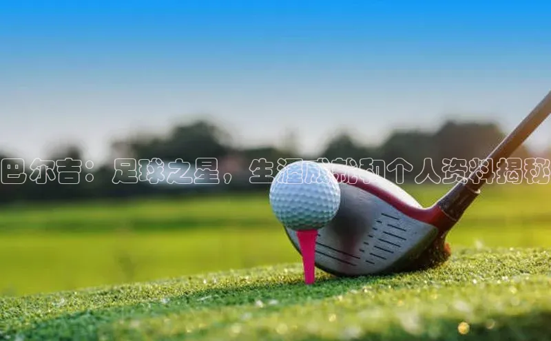 BB贝博艾弗森官方网站58同城巴尔吉：足球之星，生涯成就和个人资料揭秘