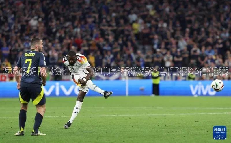 贝博betball体育app下载阿里尔公司运动赛事体验：全面的电子竞技资源与直播平台推荐