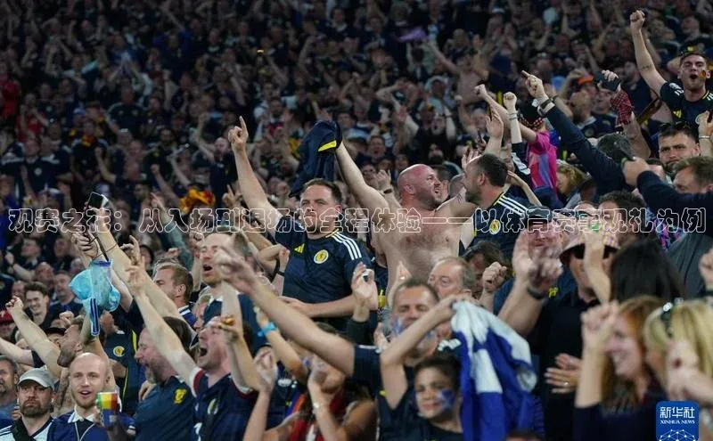 观赛之花：从入场到退场的全程体验——以体育赛事观礼为例