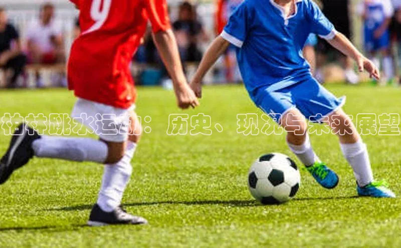 柏林跳水运动：历史、现况与未来展望