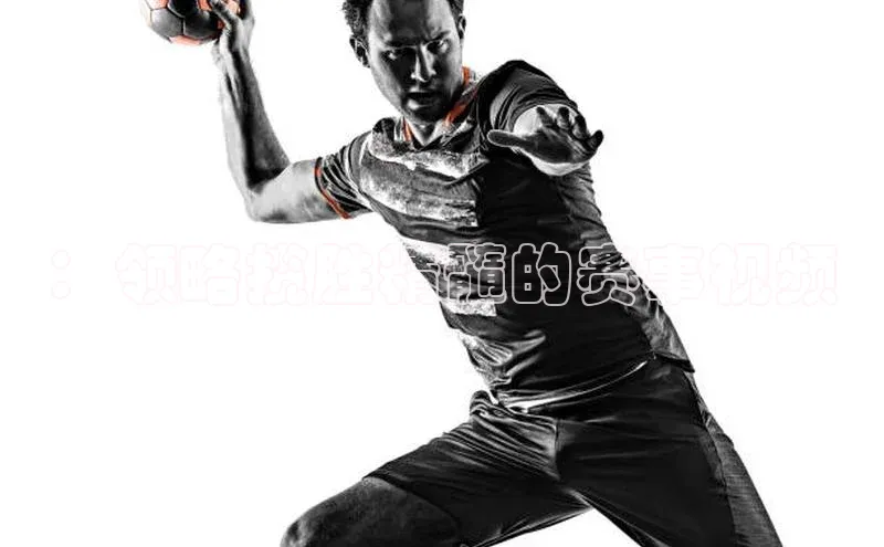 ：领略揽胜精髓的赛事视频