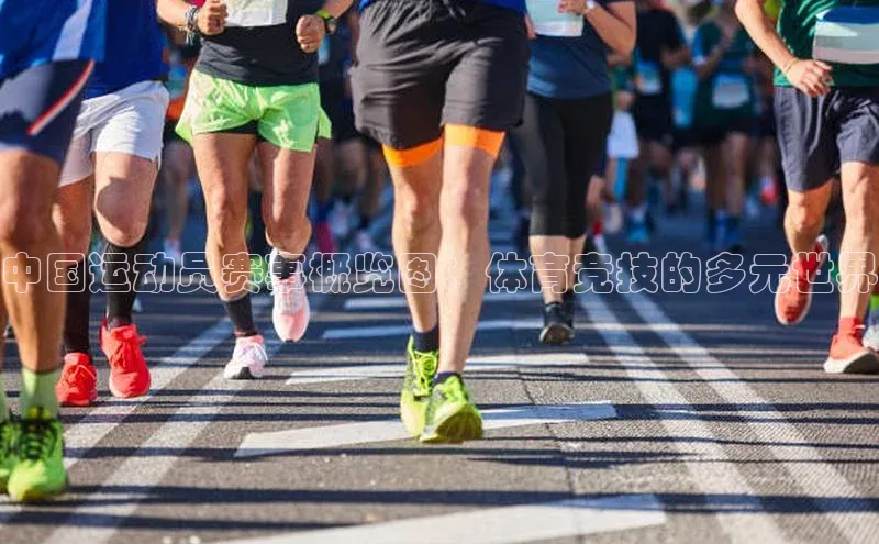 中国运动员赛事概览图：体育竞技的多元世界