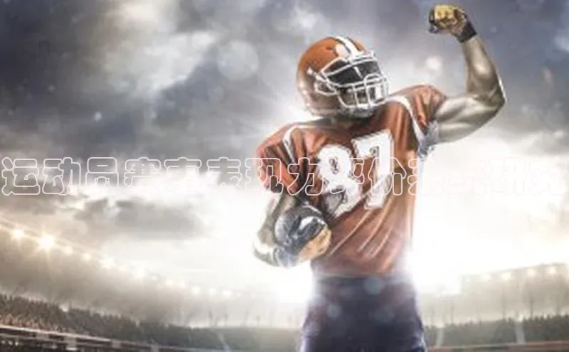 运动员赛事表现力评价系统研究