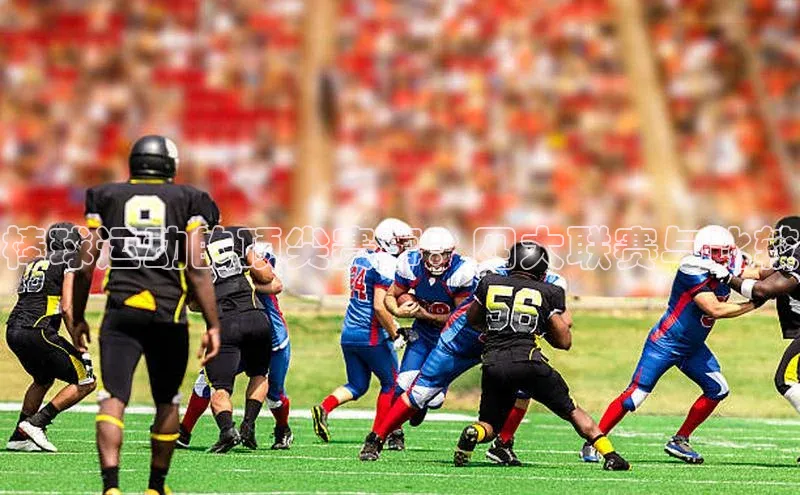 棒球运动的顶尖赛事：四大联赛与比较