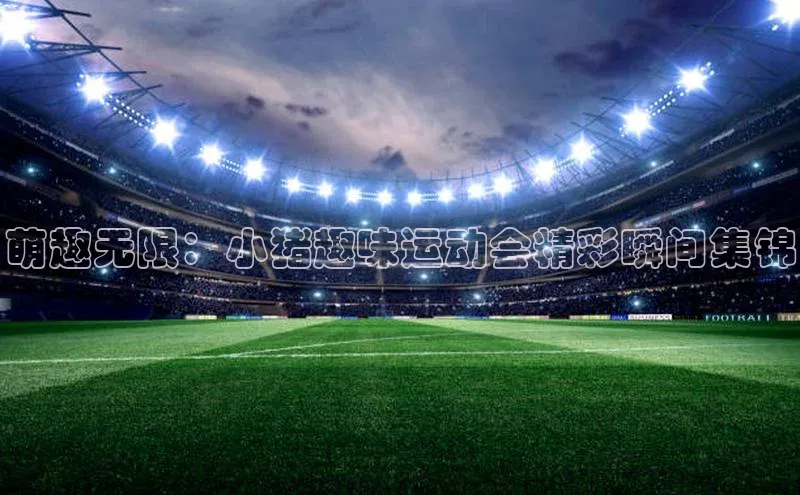 萌趣无限：小猪趣味运动会精彩瞬间集锦