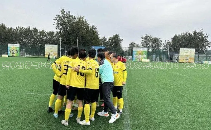 赛事暂停与运动员的未完成之旅：回顾停办赛事期间的比赛安排