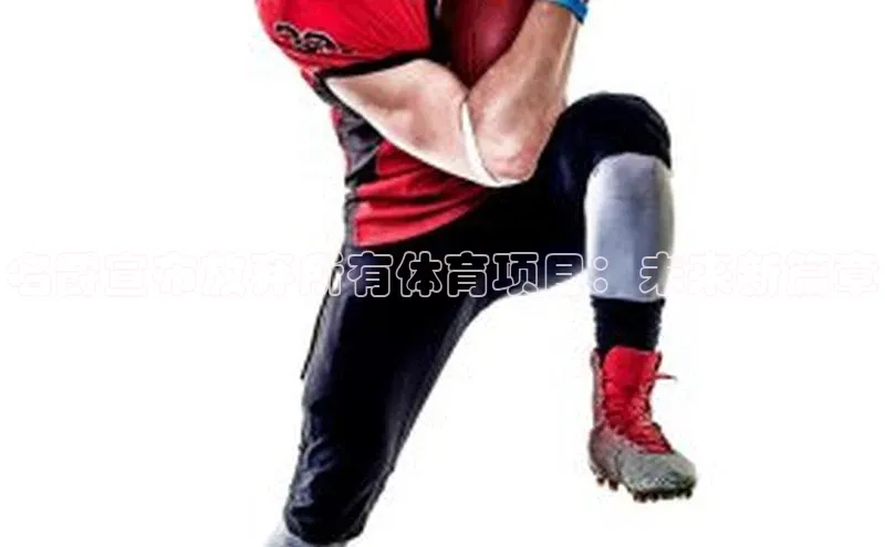 名爵宣布放弃所有体育项目：未来新篇章