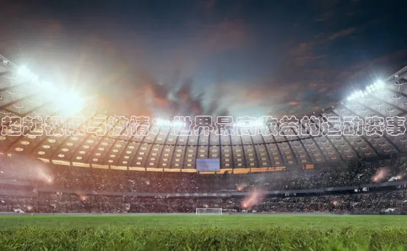超越极限与激情：世界最高收益的运动赛事