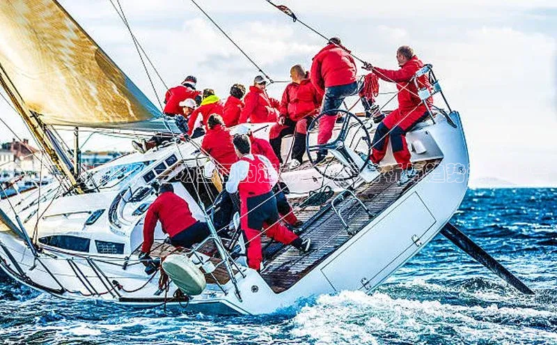 运动健儿风采：一场全面的运动会赛事分析与趋势预测报告