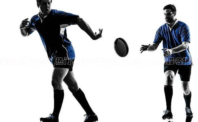 轻松注册参与：热门体育赛事的官方网站入口及报名指南