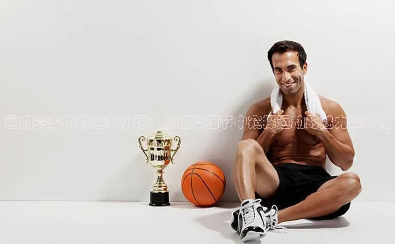 BB贝博ballbet登录入口