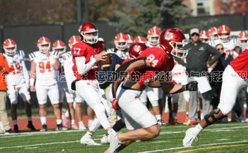 贝博bb平台体育正规吗