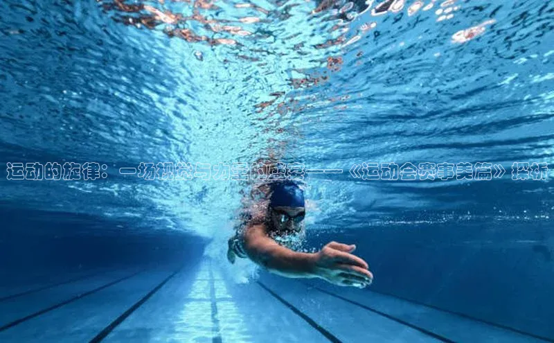 贝博betball体育app下载