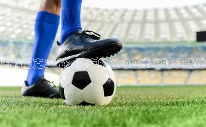 贝博官网下载app