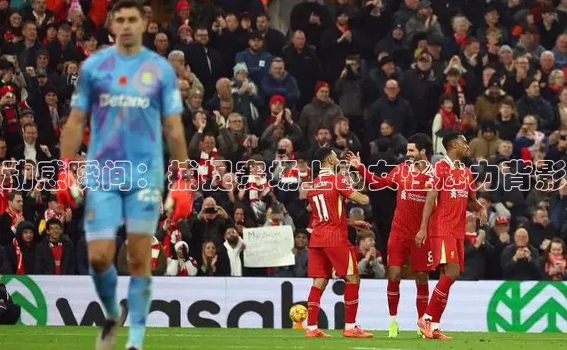 贝博betball官网登录