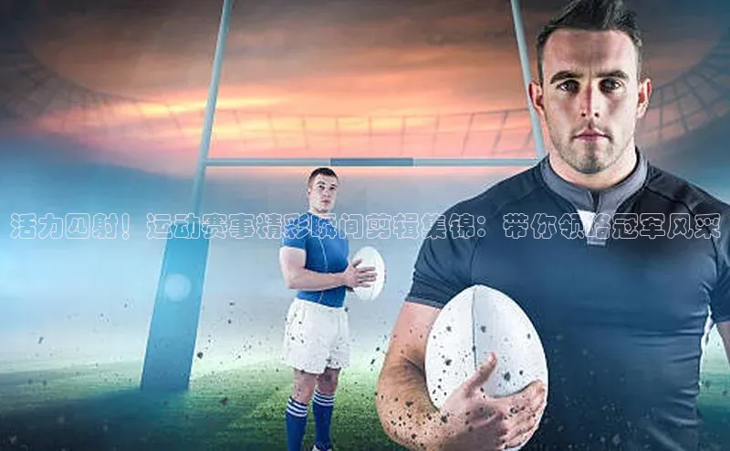 贝博app体育下载安装